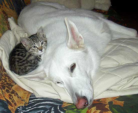 Maya neues Familienmitglied 2