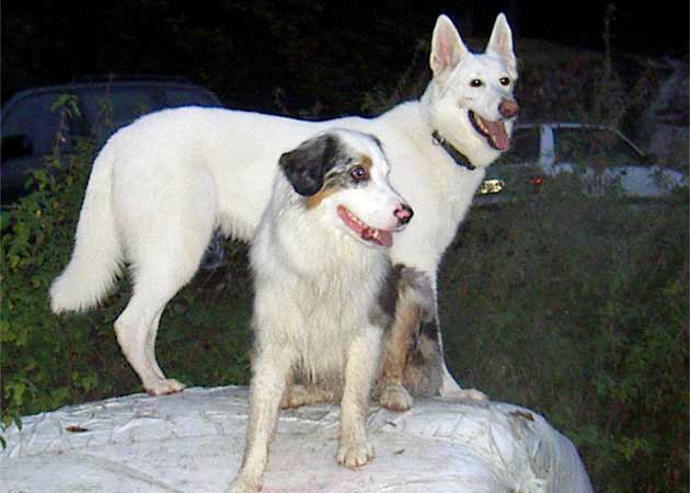 Spontanbekanntschaft Chico