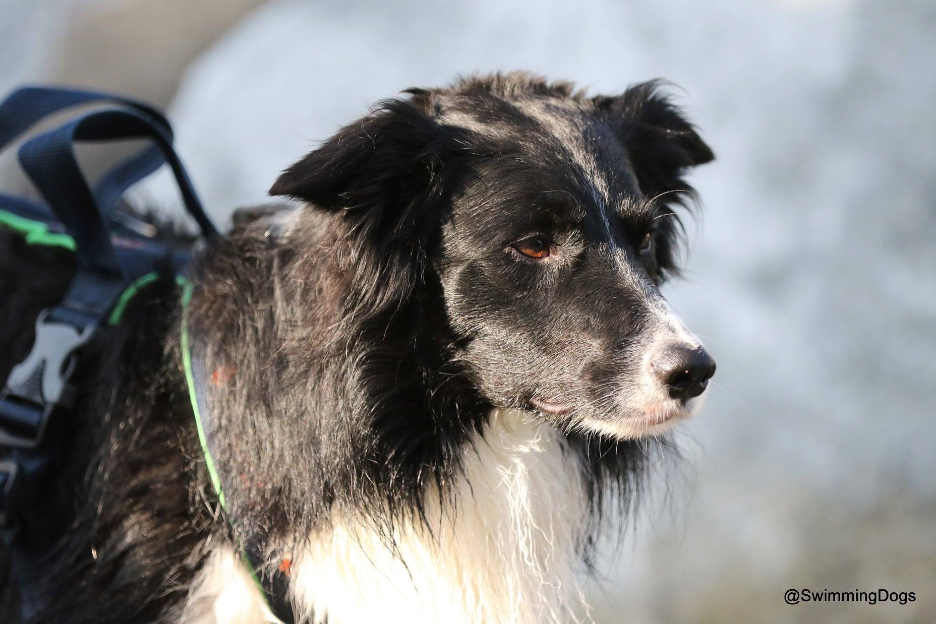 119973419 2219671378178558 6037872601154653926 o