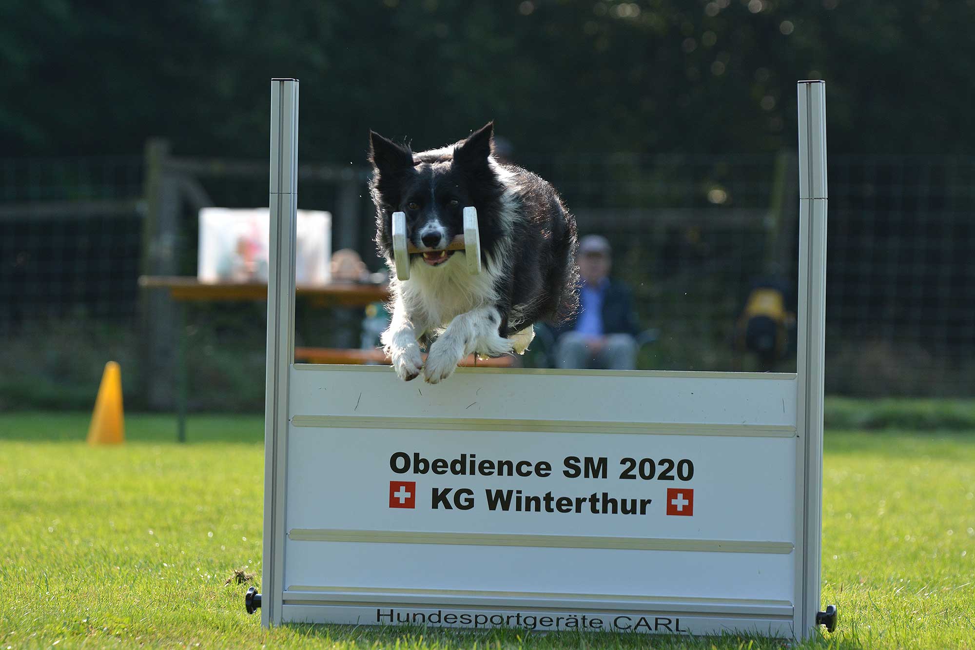 2O3apTtQ Obedience SM