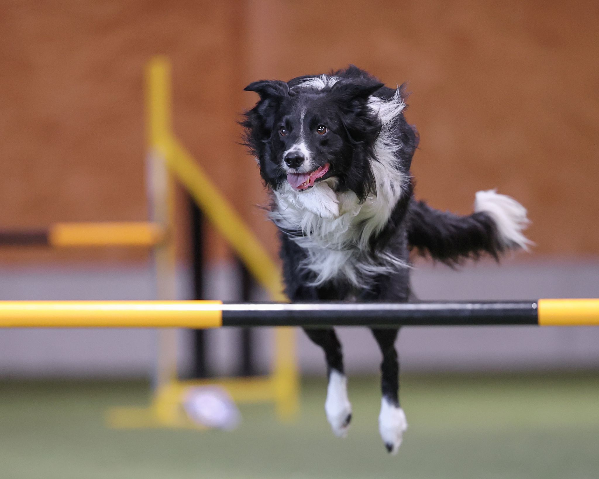 Jeano Agility
