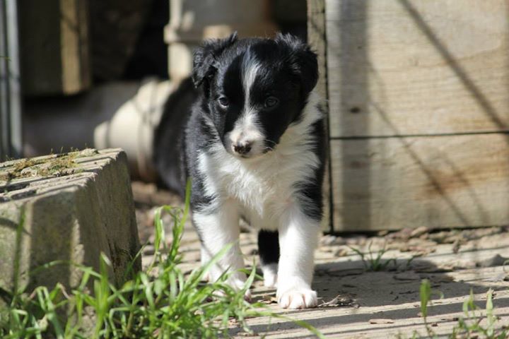 1012961 806123426141593 7696066665985983755 n