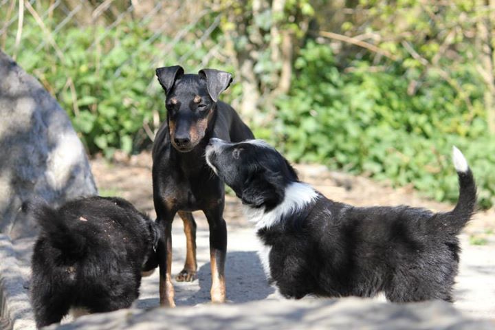 10433157 809628499124419 7497901981209091034 n