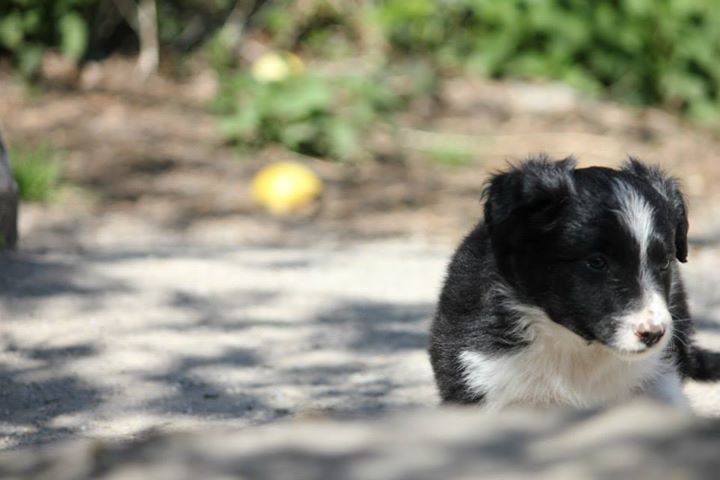 11102900 809628522457750 4428841790716387107 n