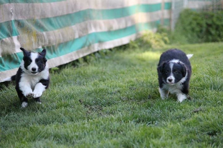 11112942 811182872302315 5368464312768632825 n