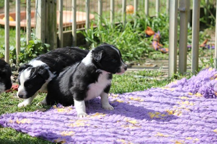 11143469 806123186141617 992369240139686501 n