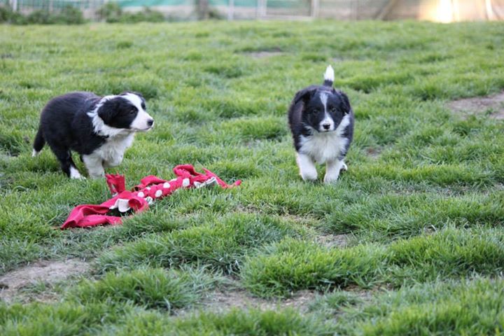 11150448 811184528968816 1052251854704727528 n