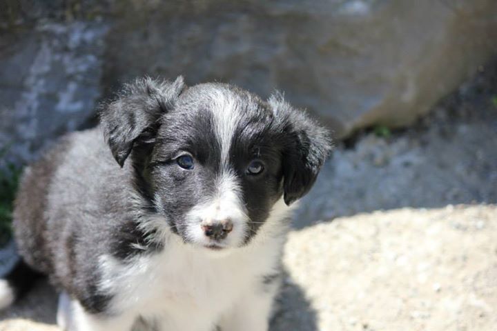 13473 809628402457762 7913685617381796 n