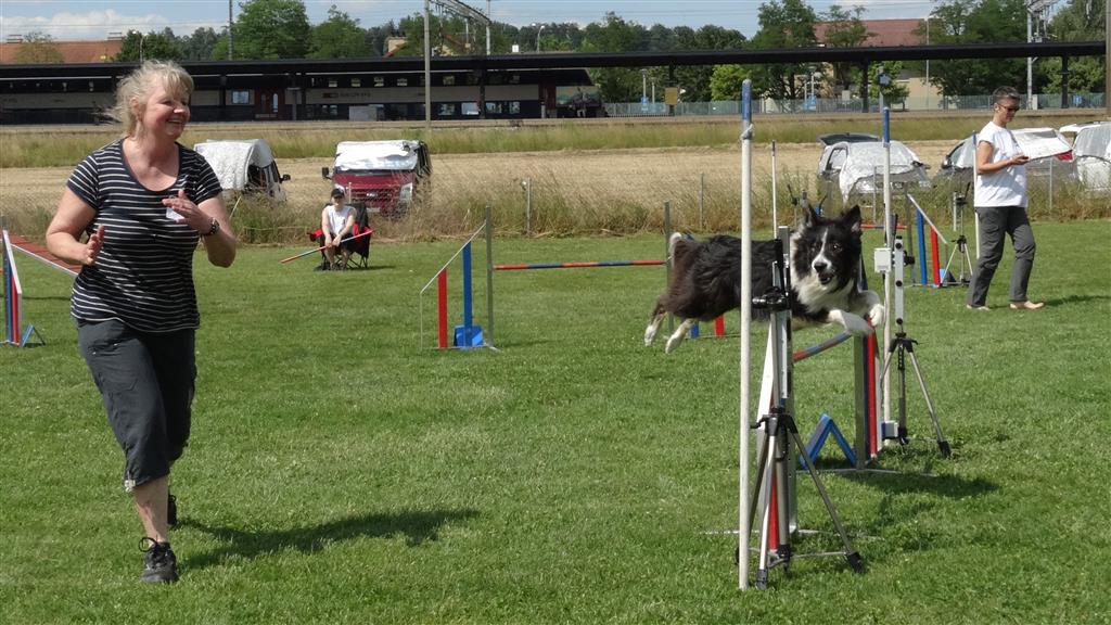 2014 Bassersdorf agm large3 086