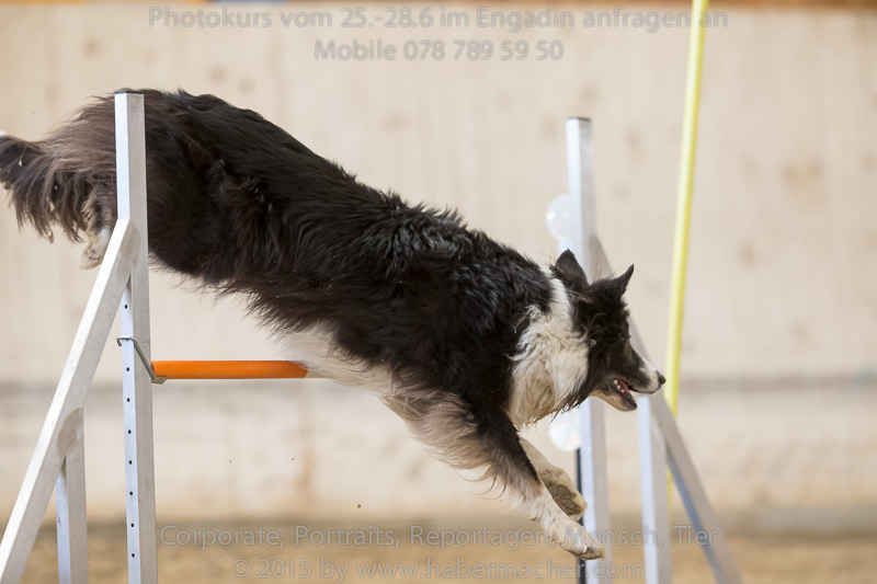 20150328 123530 EN7P0698