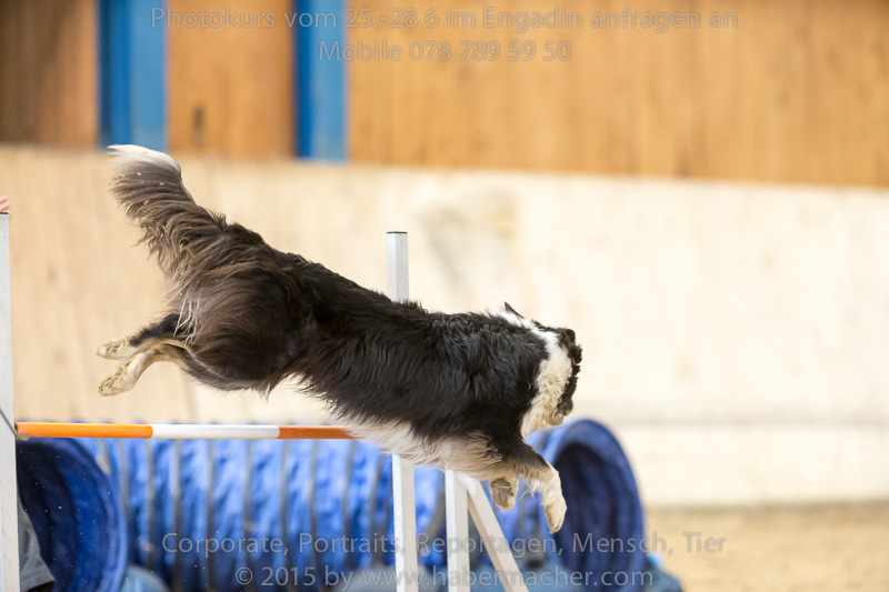 20150328 123532 EN7P0700