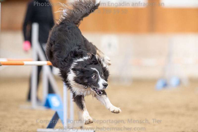 20150328 123538 EN7P0705