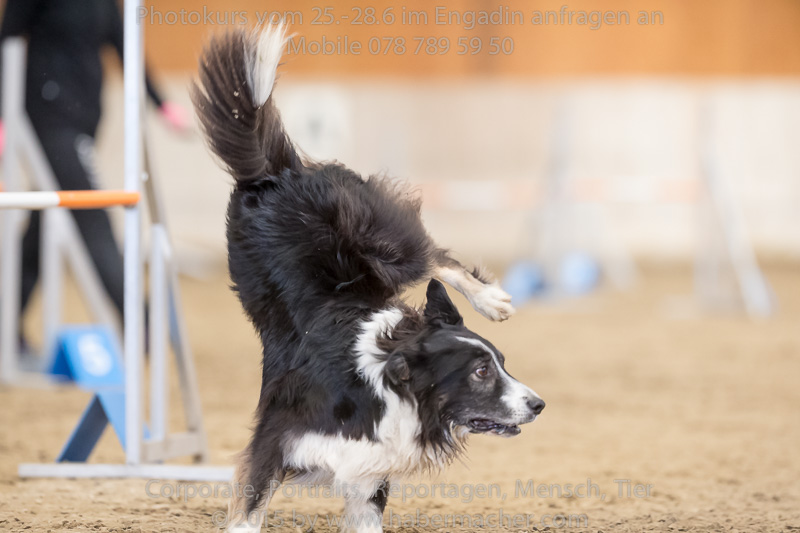 20150328 123538 EN7P0706