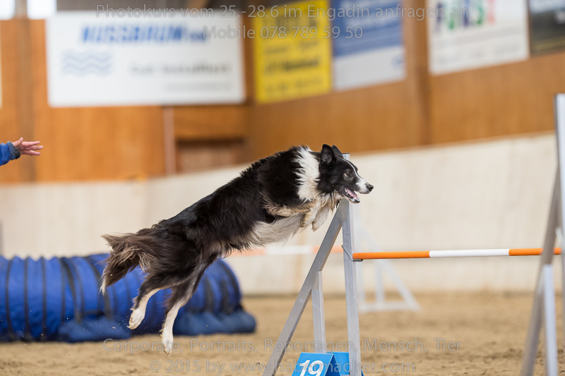 20150328 123605 EN7P0719