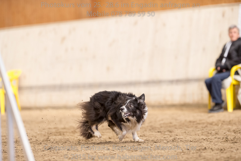 20150328 123605 EN7P0722