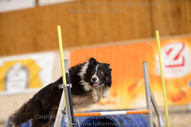 20150328 123606 EN7P0724