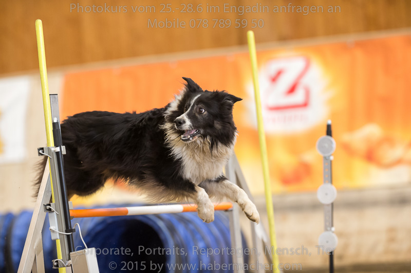 20150328 123607 EN7P0725