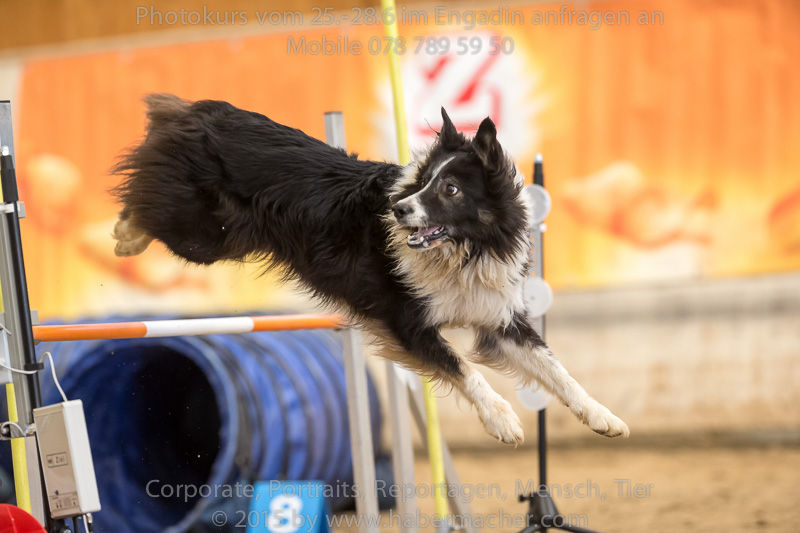 20150328 123607 EN7P0726