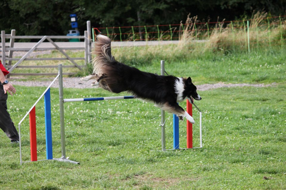 Suny Schwarzwald 2012 01