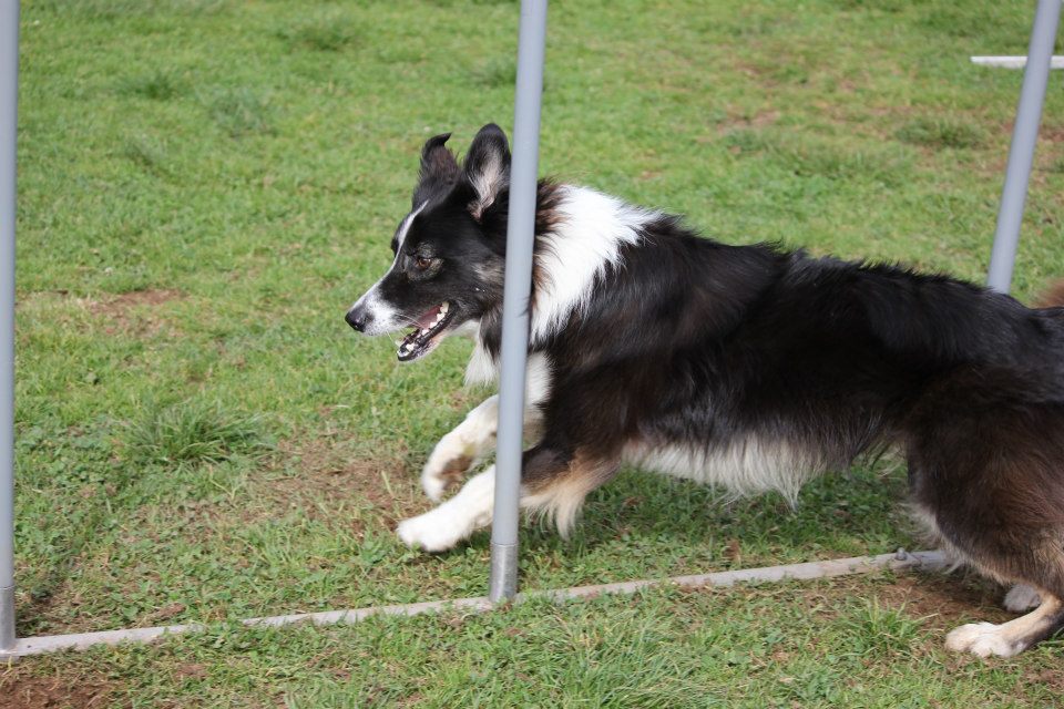 Suny Schwarzwald 2012 02