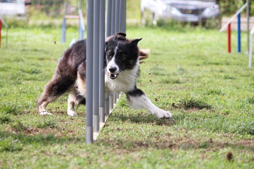 Suny Schwarzwald 2012 03