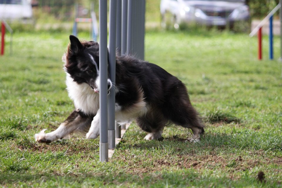 Suny Schwarzwald 2012 04