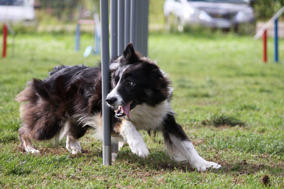 Suny Schwarzwald 2012 05