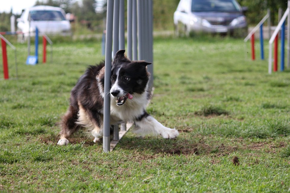Suny Schwarzwald 2012 06