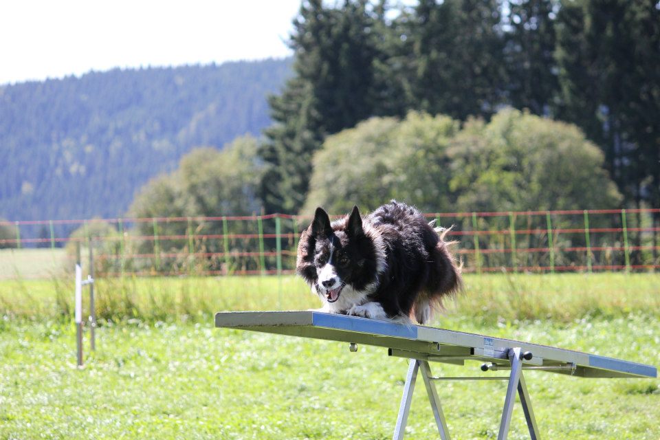 Suny Schwarzwald 2012 07