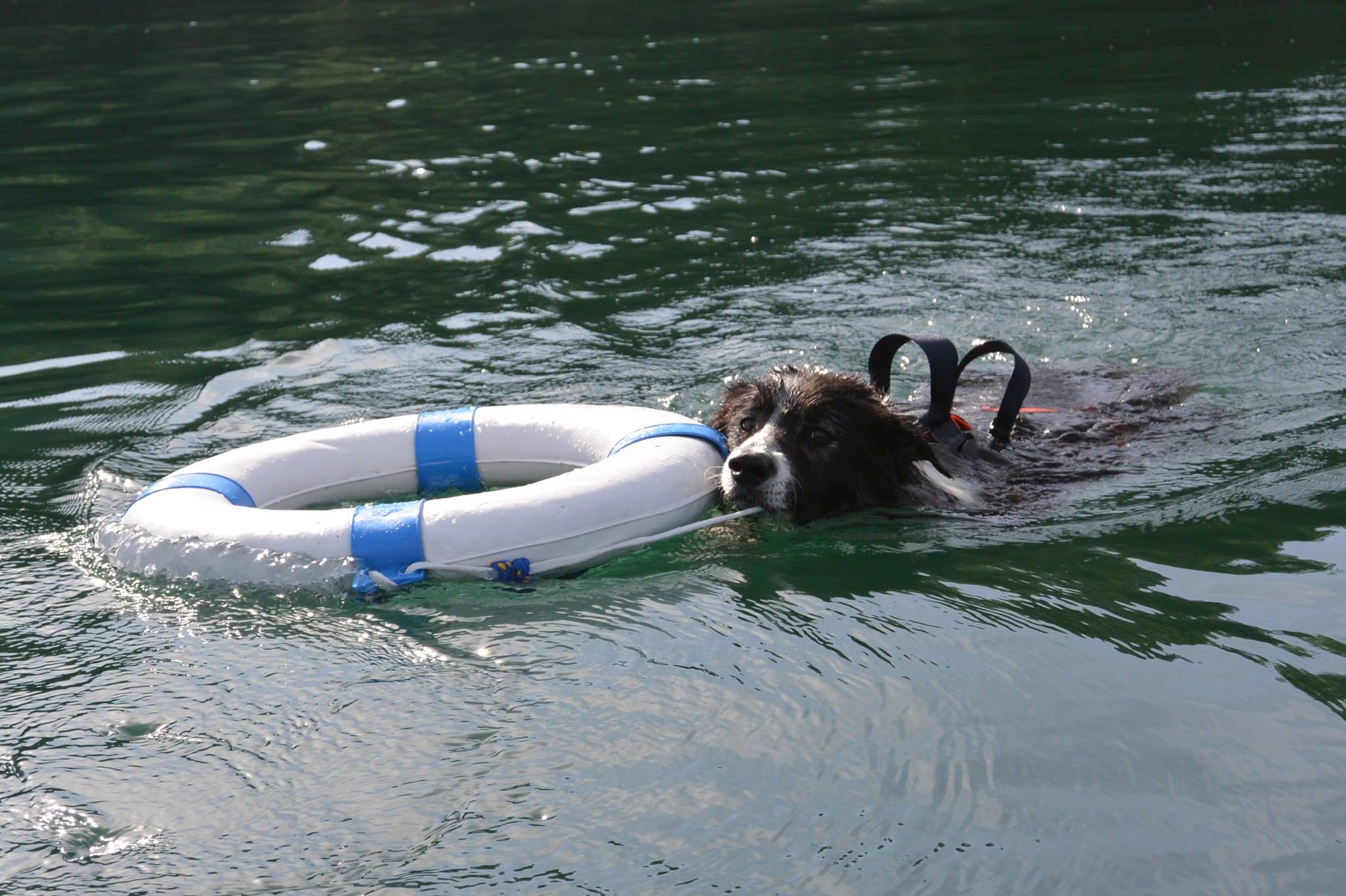 Training 14 07 19 02