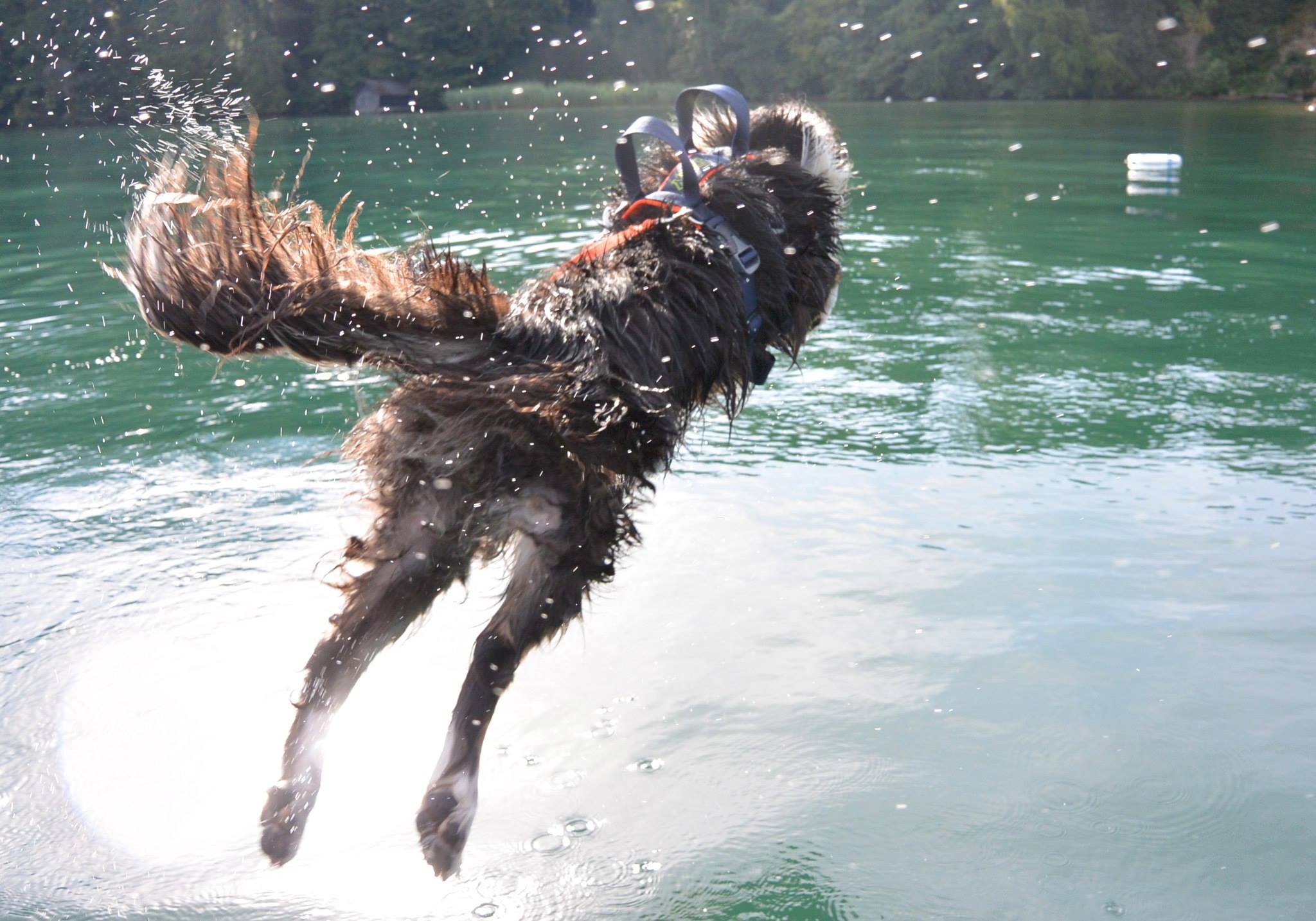 Training 14 07 19 03